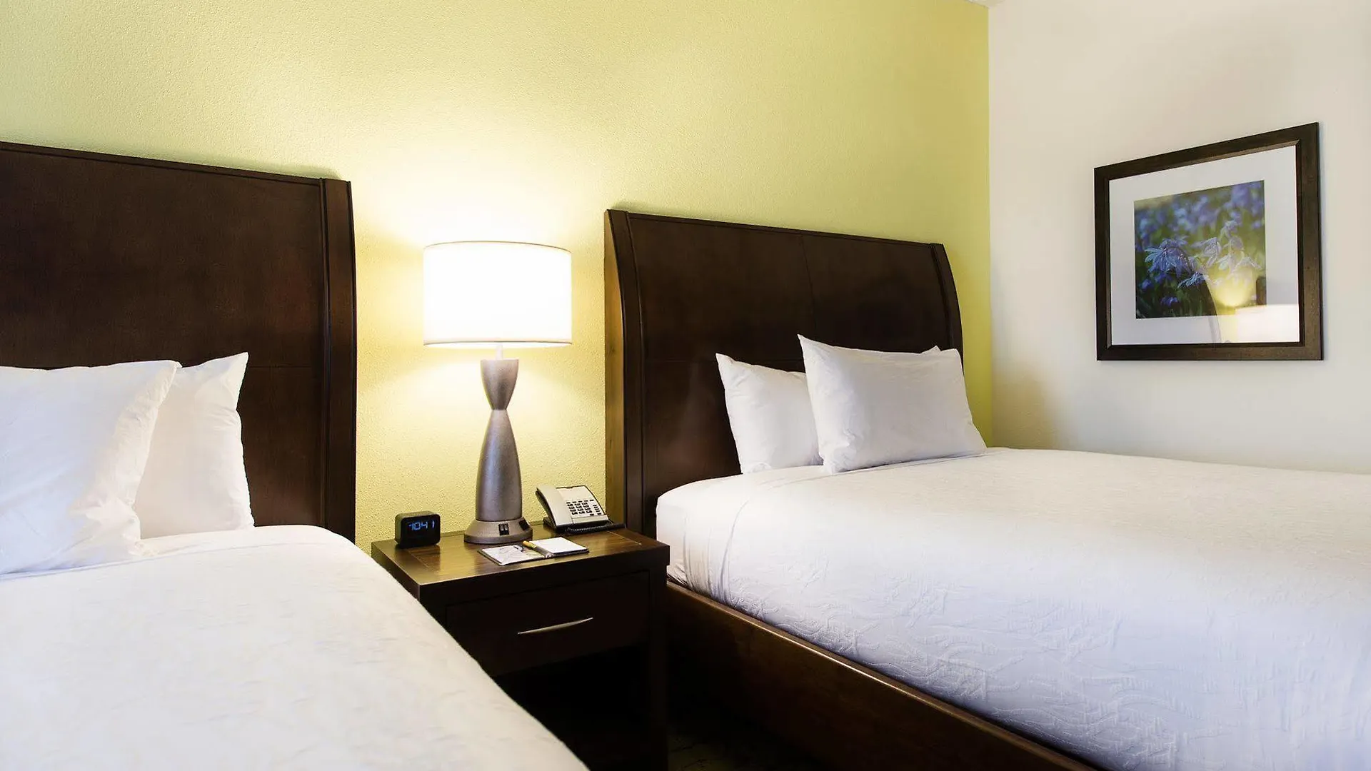 Otel Hilton Garden Inn Charlotte Airport