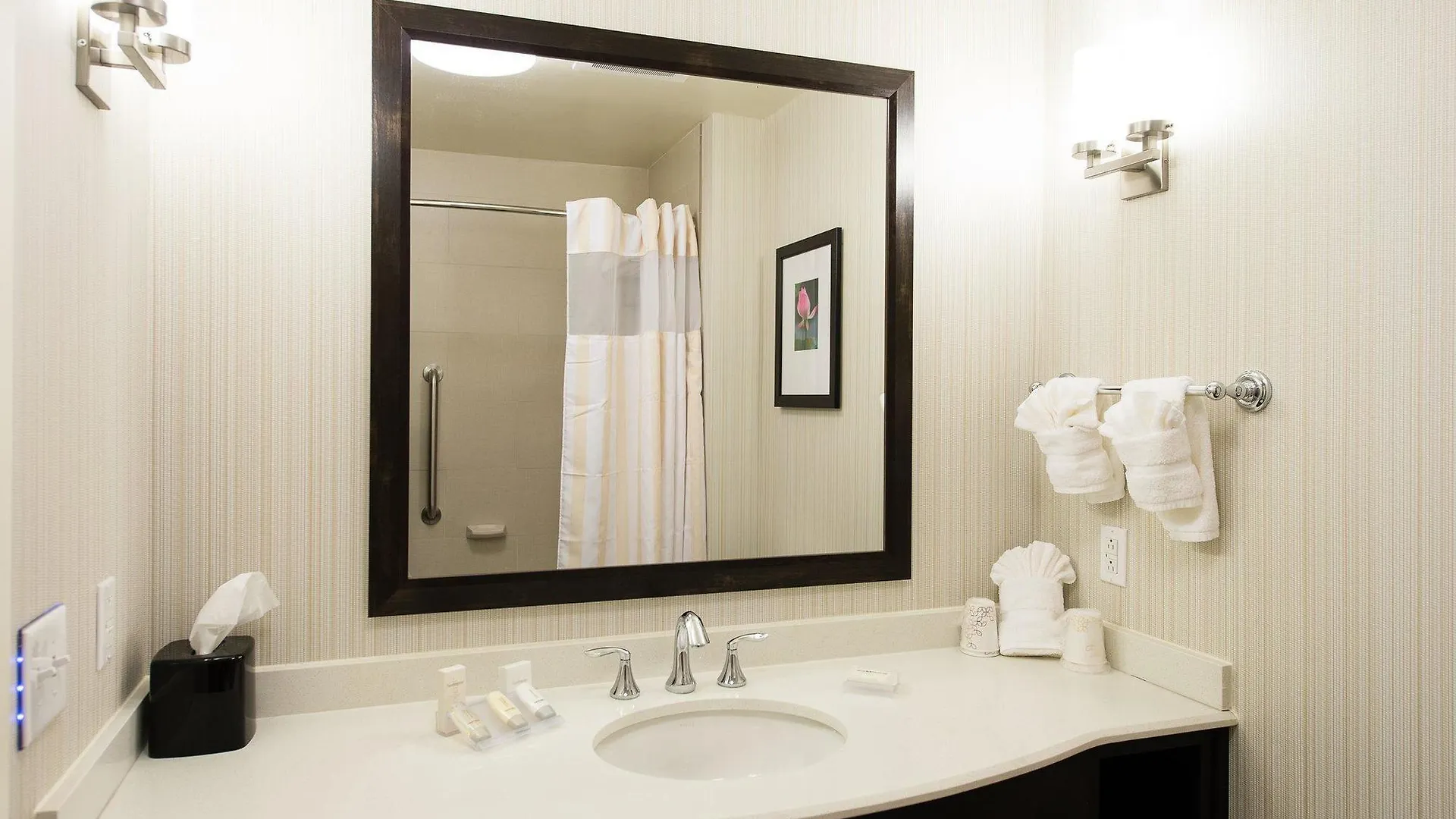Hotel Hilton Garden Inn Charlotte Airport
